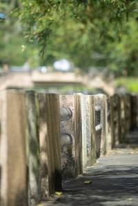 BIB: 
                            <button type="button" onclick="openModal(21805279)" class="btn btn-primary btn-sm float-right btn-popup" data-toggle="modal" data-target=".modal-high-quality">
                        <i class="fas fa-shopping-cart"></i> Add to Cart
                    </button>
                                            <button type="button" onclick="isThisMe(21805279, true)" class="btn btn-success btn-sm float-right btn-popup btn-isme hidden" data-toggle="tooltip" data-placement="bottom" title="นี่คือรูปของคุณใช่ไหม คลิกที่นี่เพื่อเอาเข้าอัลบั้ม">
                        <i class="fas fa-plus"></i> Add to album
                    </button>
                    <button type="button" onclick="isThisMe(21805279, false)" class="btn btn-warning btn-sm float-right btn-popup btn-isnotme hidden">
                        <i class="fas fa-ban"></i> Remove from album
                    </button>